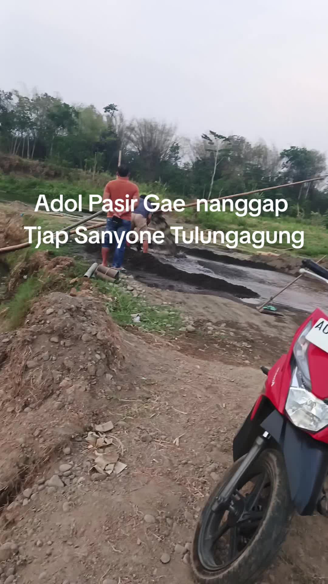 @Mandor Sukses