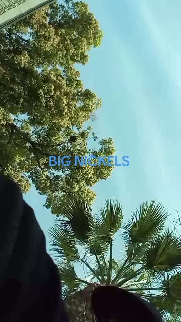 @big nickels