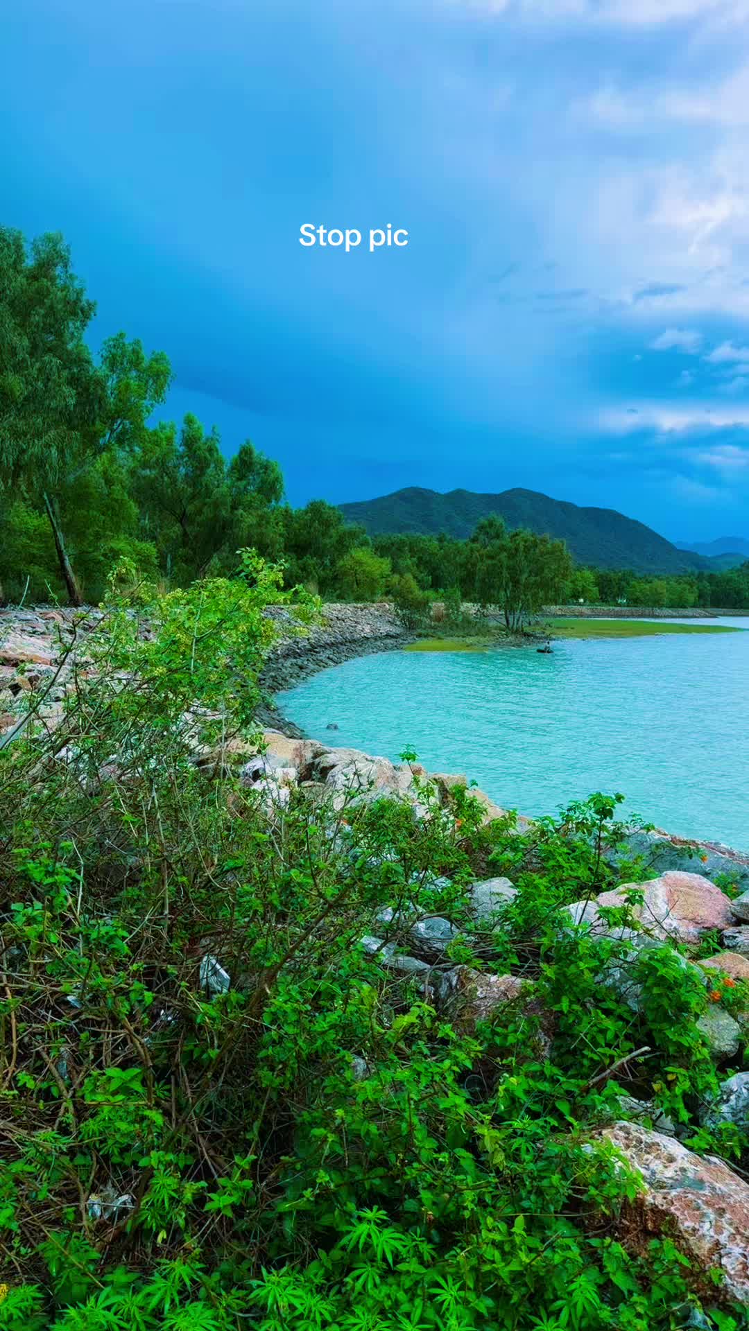 @Muskan🎀🇦🇫✌️🇵🇰