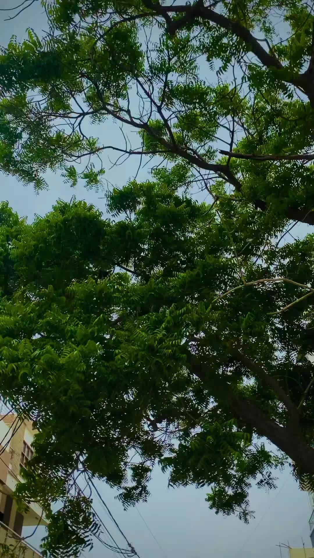 @ê§â ð°ðœð
ð°ð
ð»ð°ð»ð° ³³3 âê§
