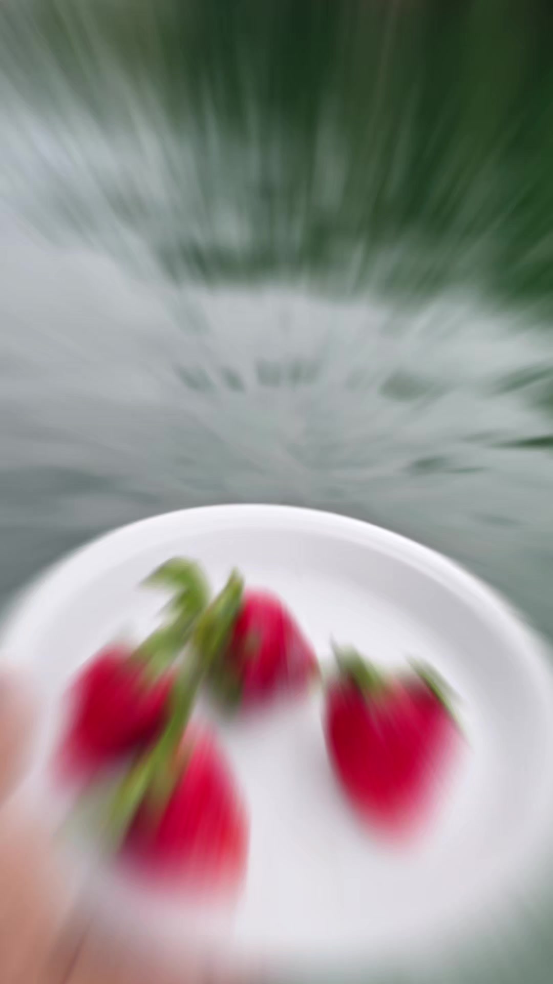 @user6365212003321