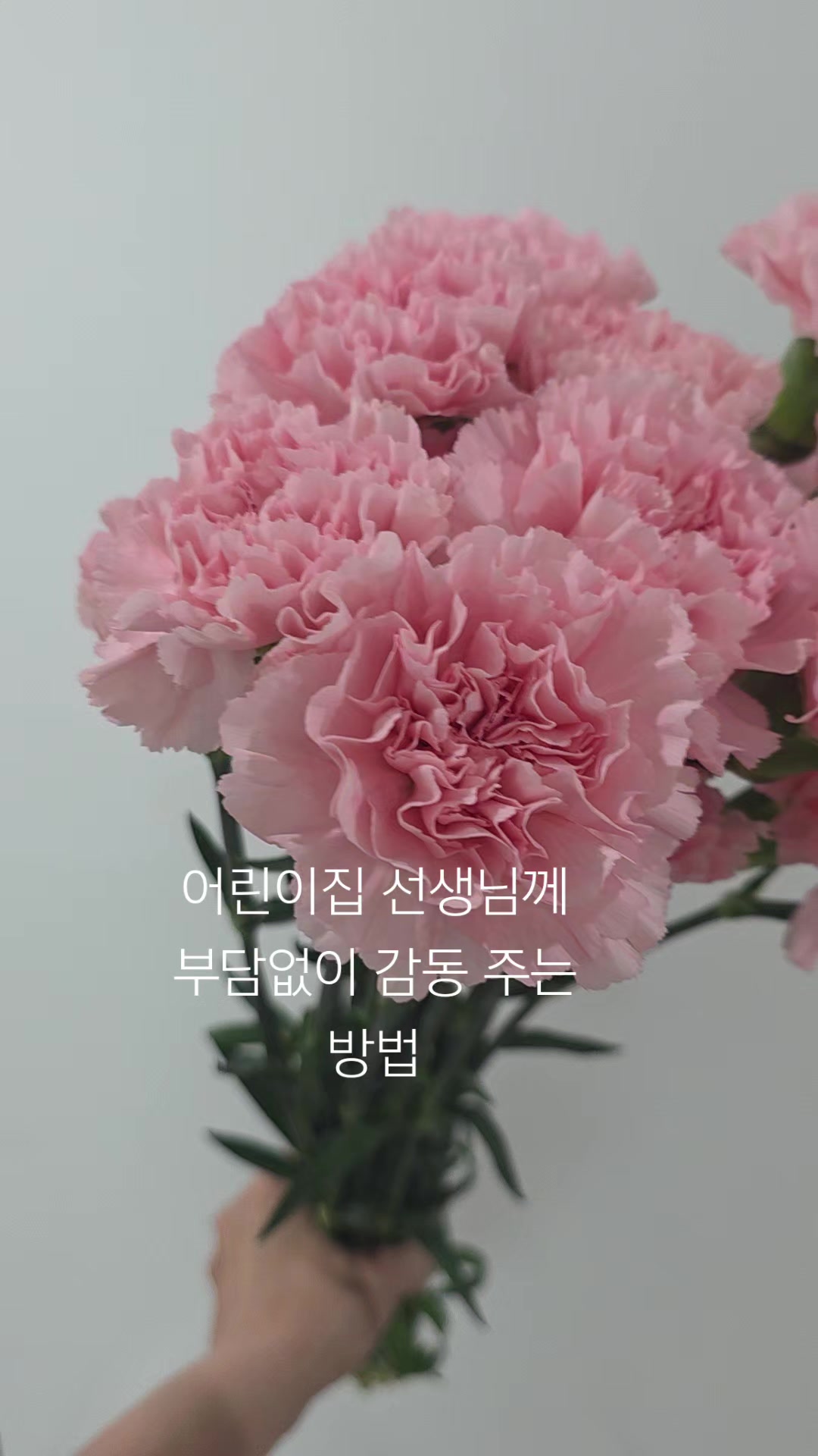 @바라24