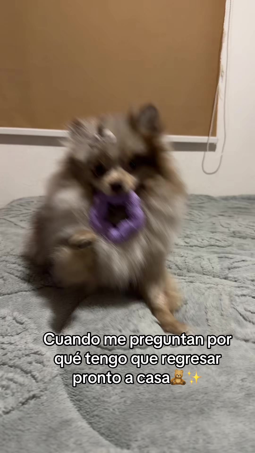 @leiidyvasquez26