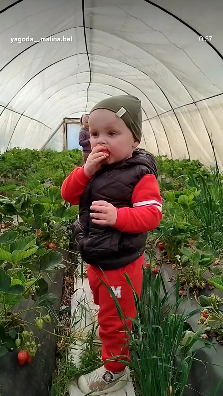 @Данута Манюк