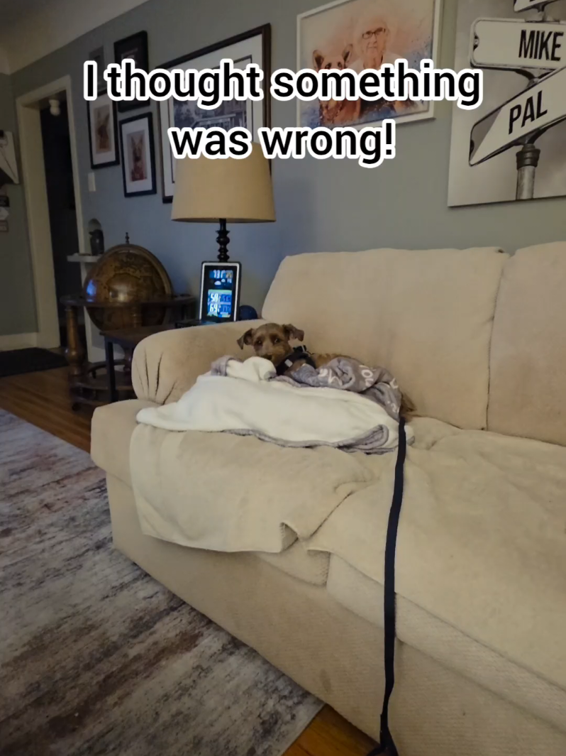 @BuddyandMikes Pal