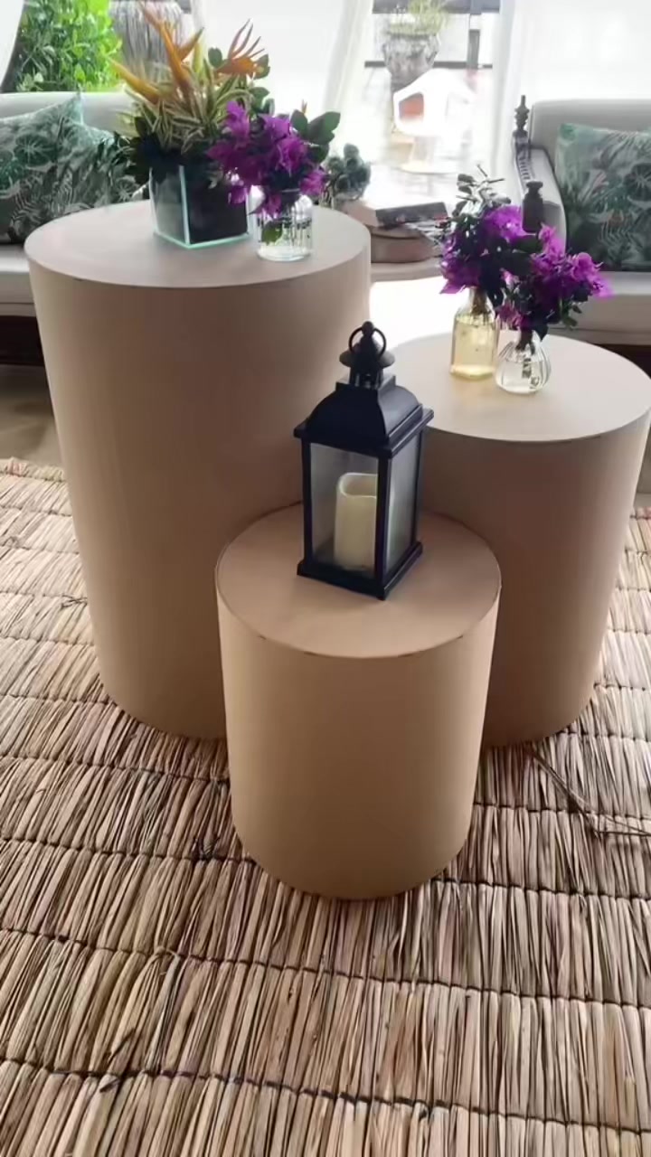 @suellenbenevidess