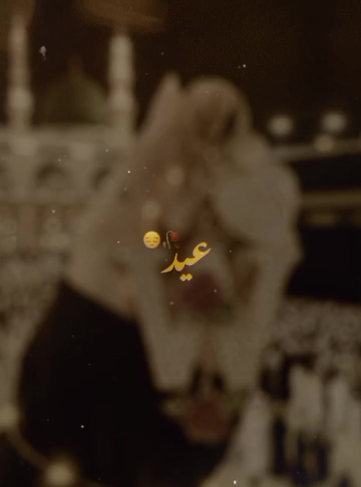 @ïžµâ¿àšâ
ððâ€ïžðµðžð¿ð®â€ïžðŠà§â¿ïžµ