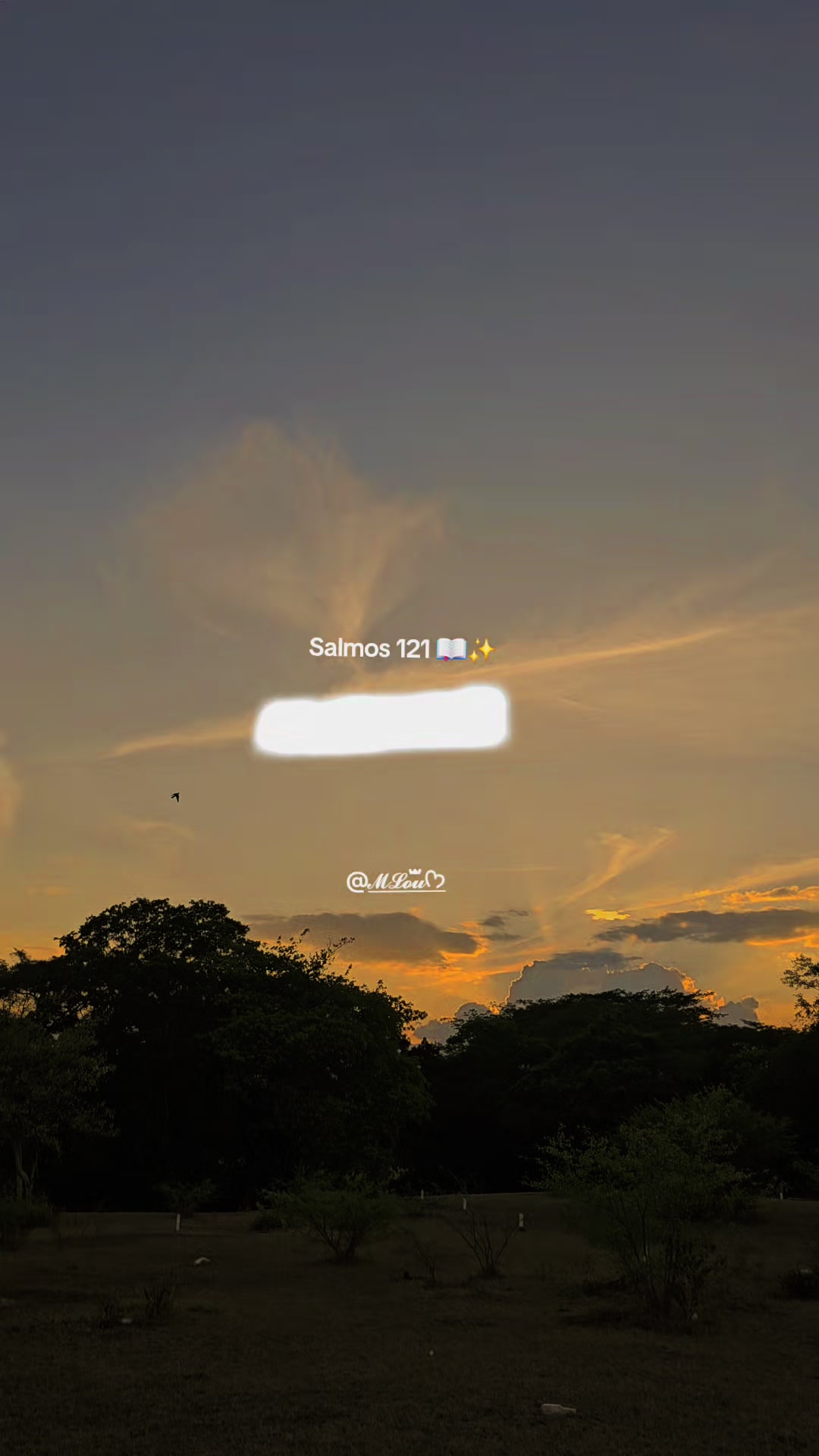 @𝓜𝓛𝓸𝓾ꤪꤨꤪꤪꤨꤪᡣ𐭩