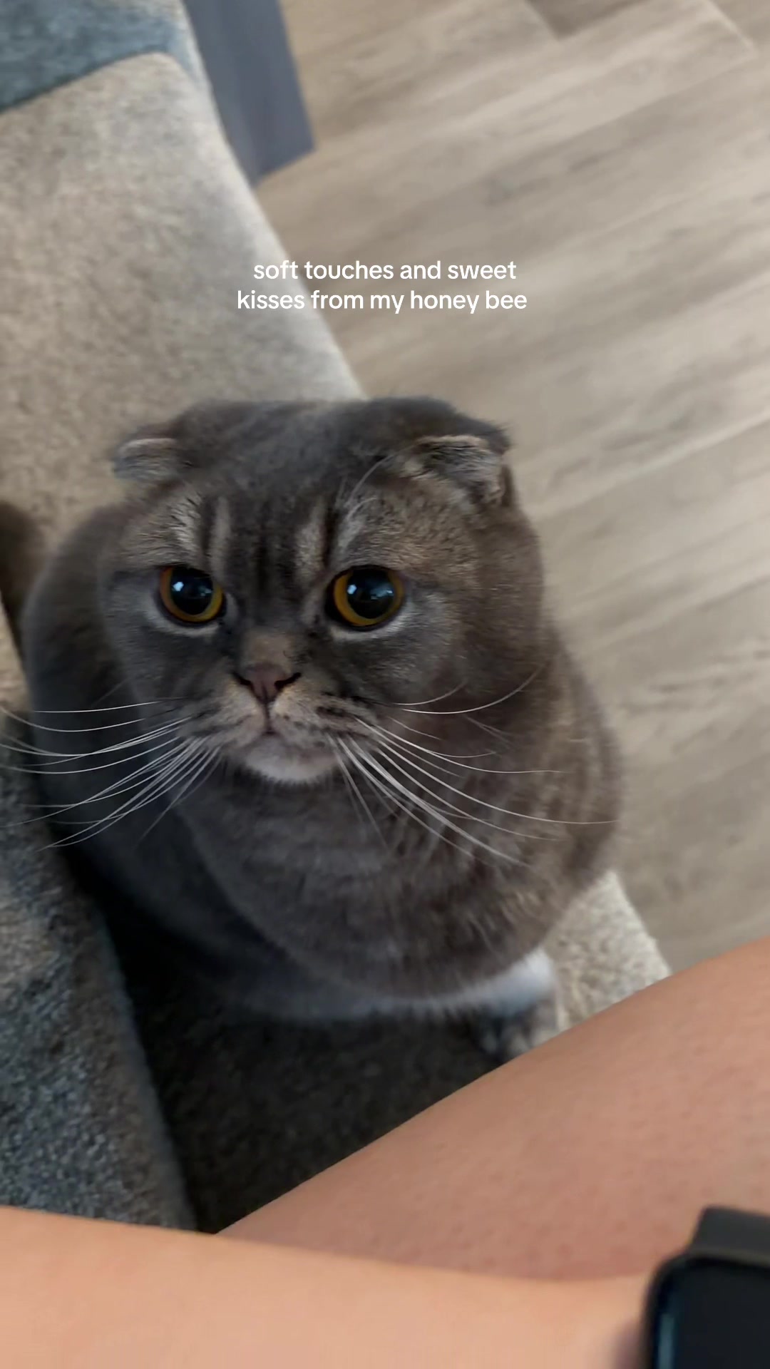 @bexxiez