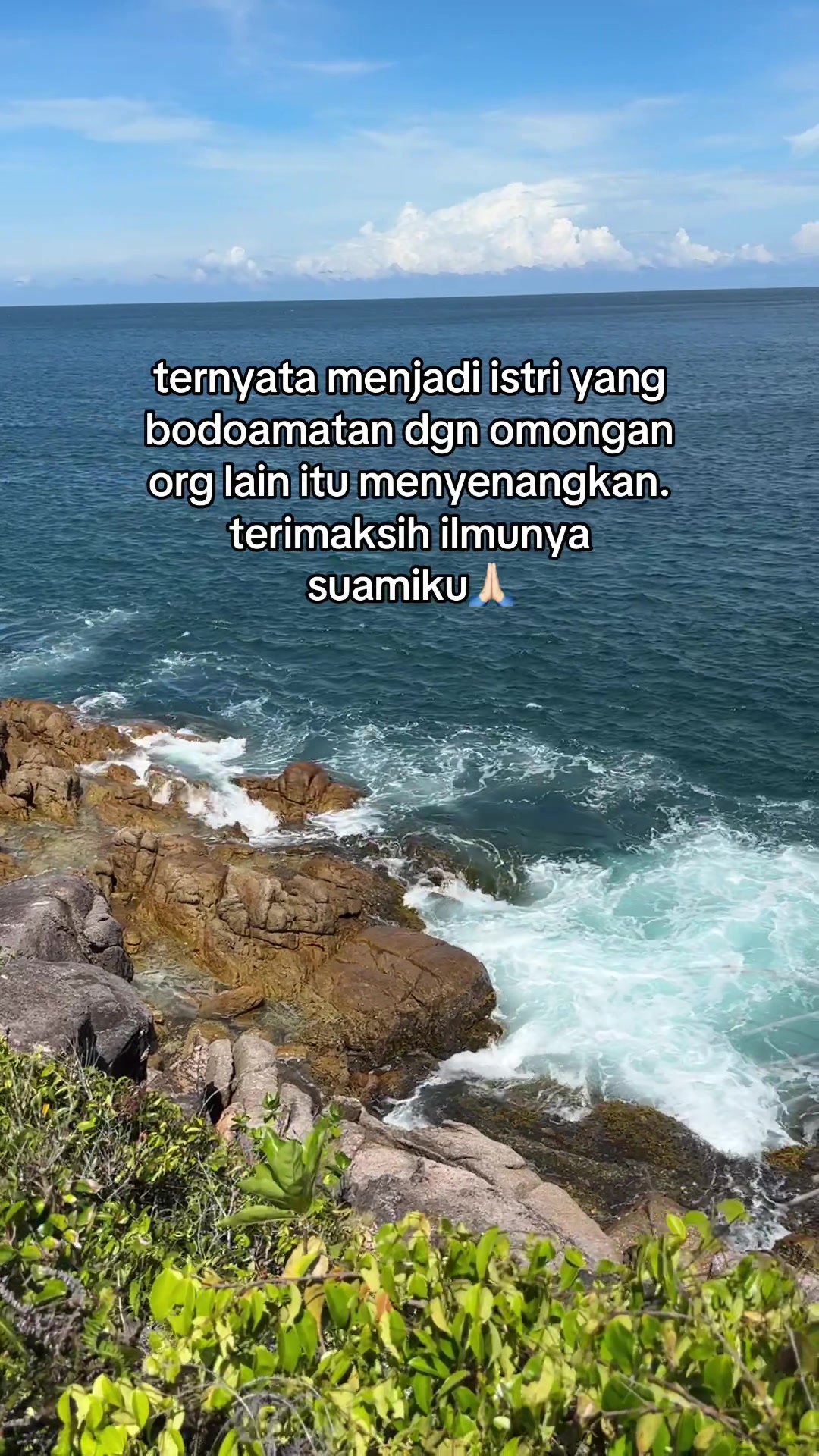@tralalala ⋆.˚🦋༘⋆