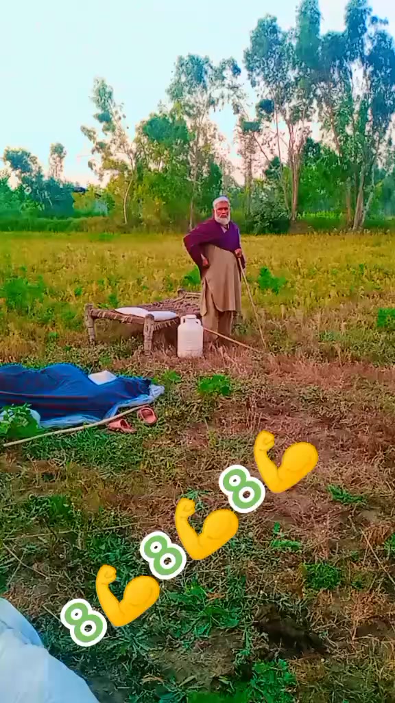 @Umarjan