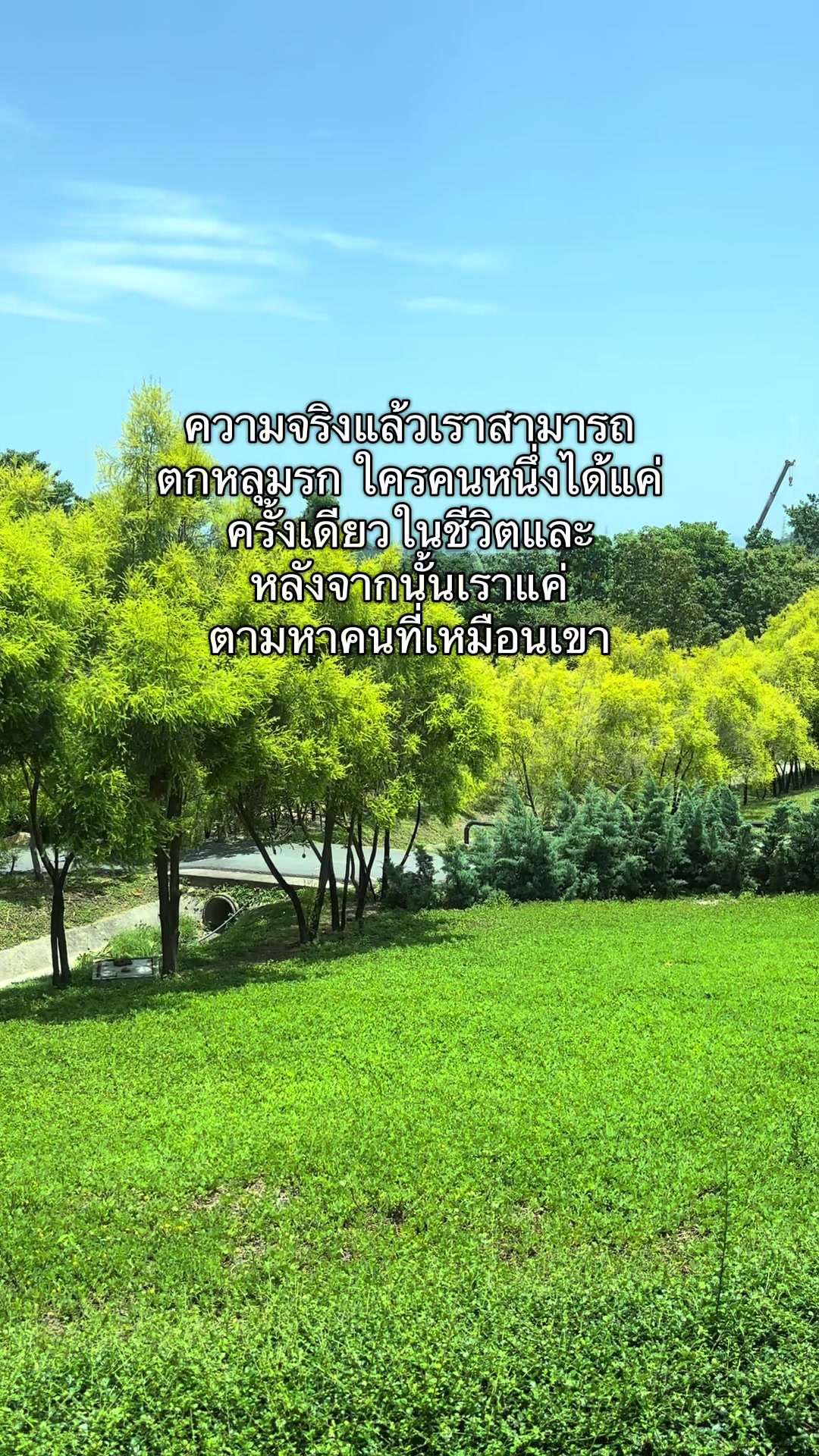 @T-story