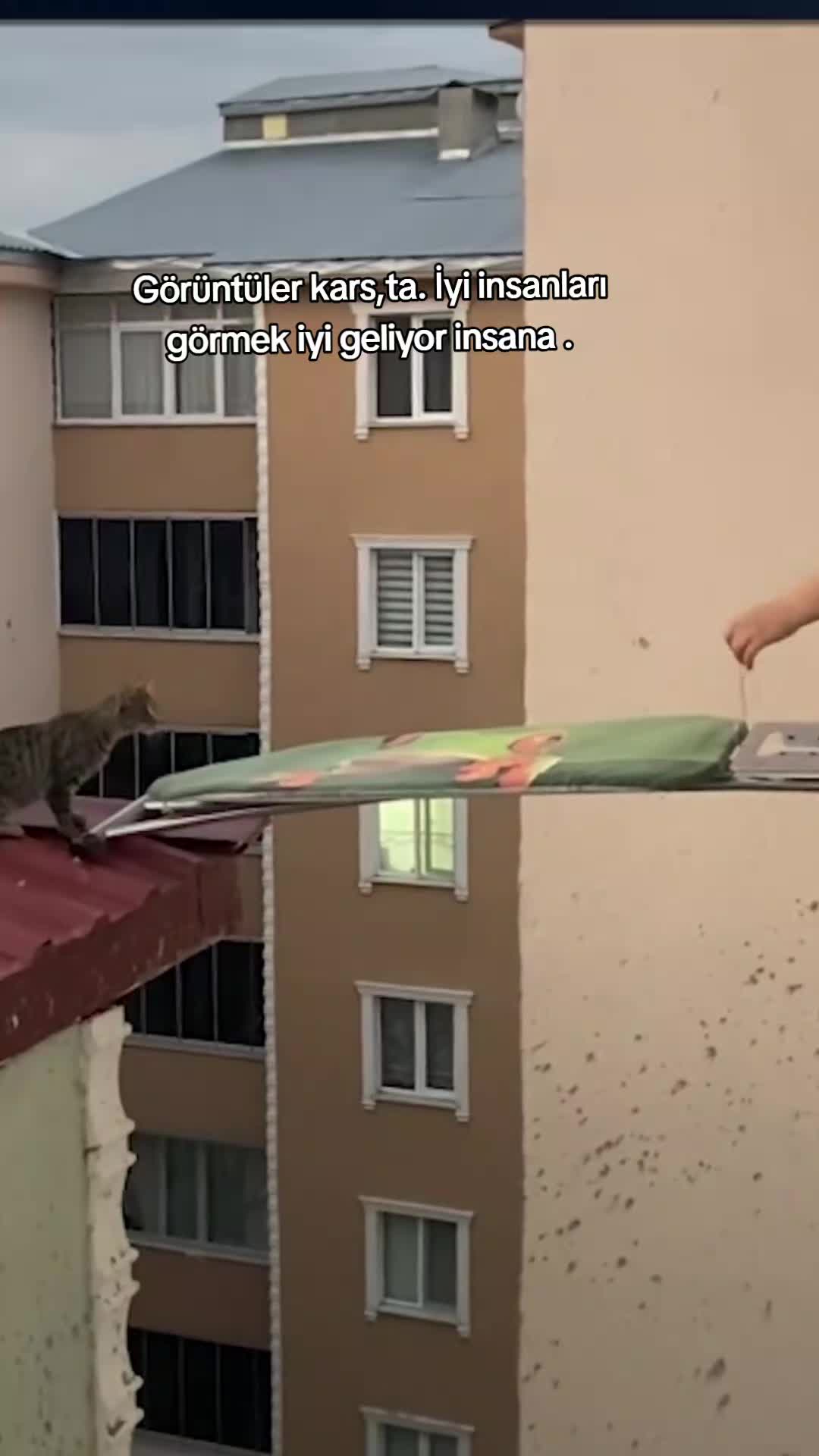 @ez gulê65