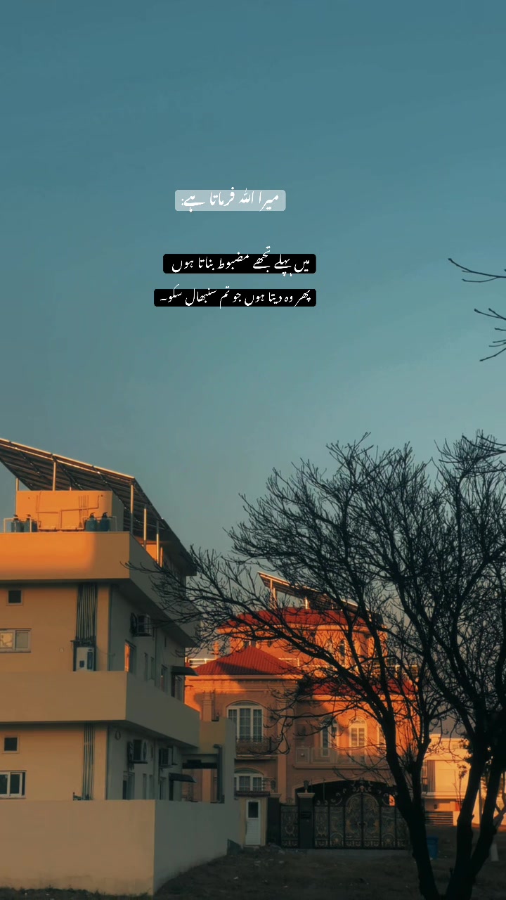 @🕊️