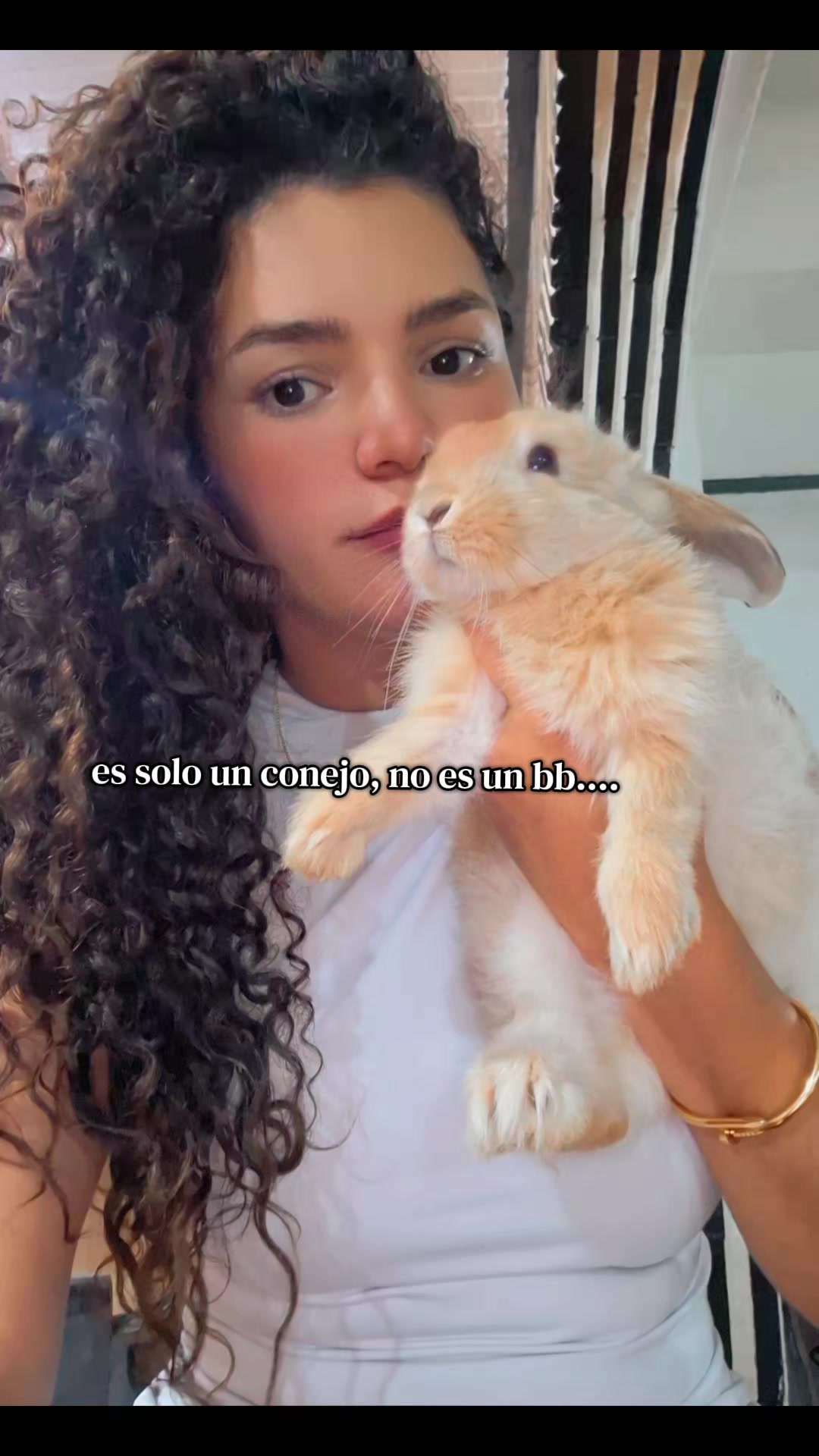 @Ross Perez💕 - Te sigue
