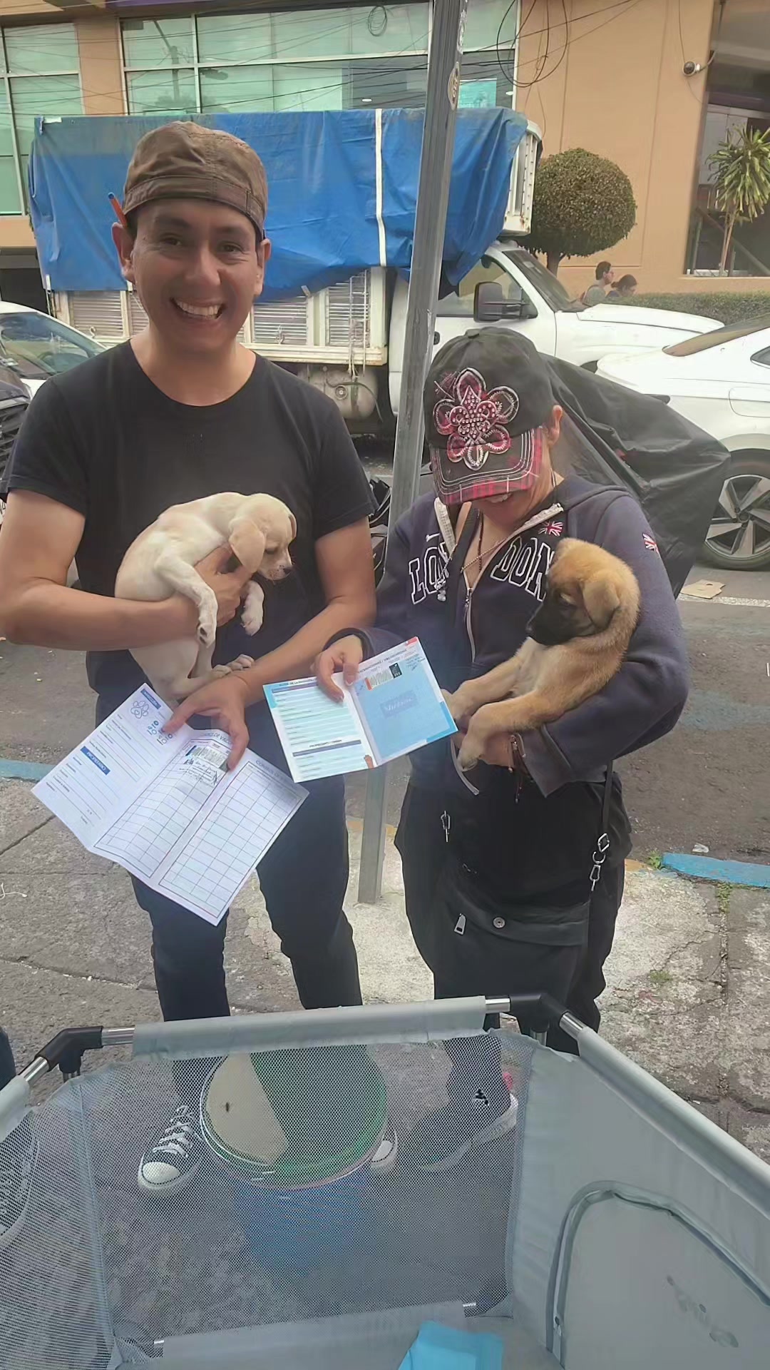 @rescate de perros guapos 😚