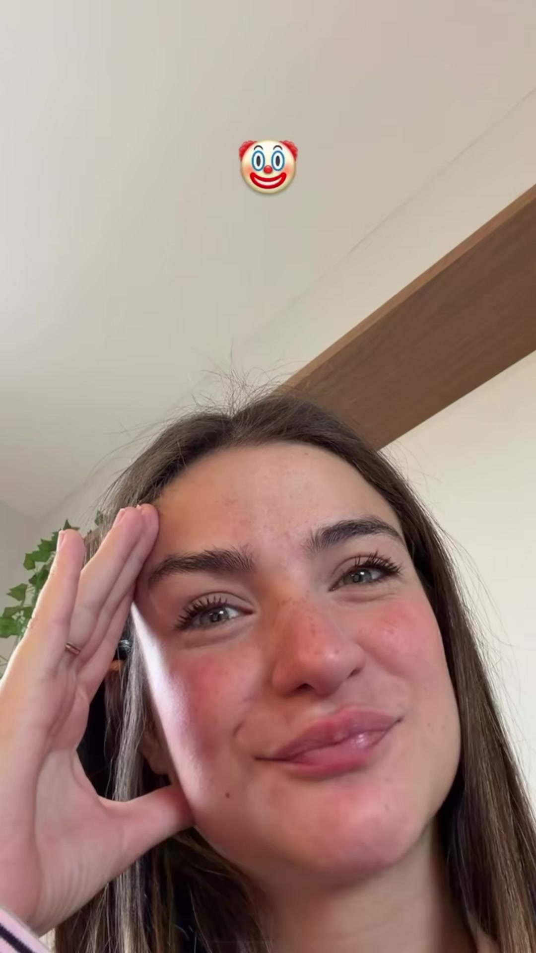 @Jordanavucetic