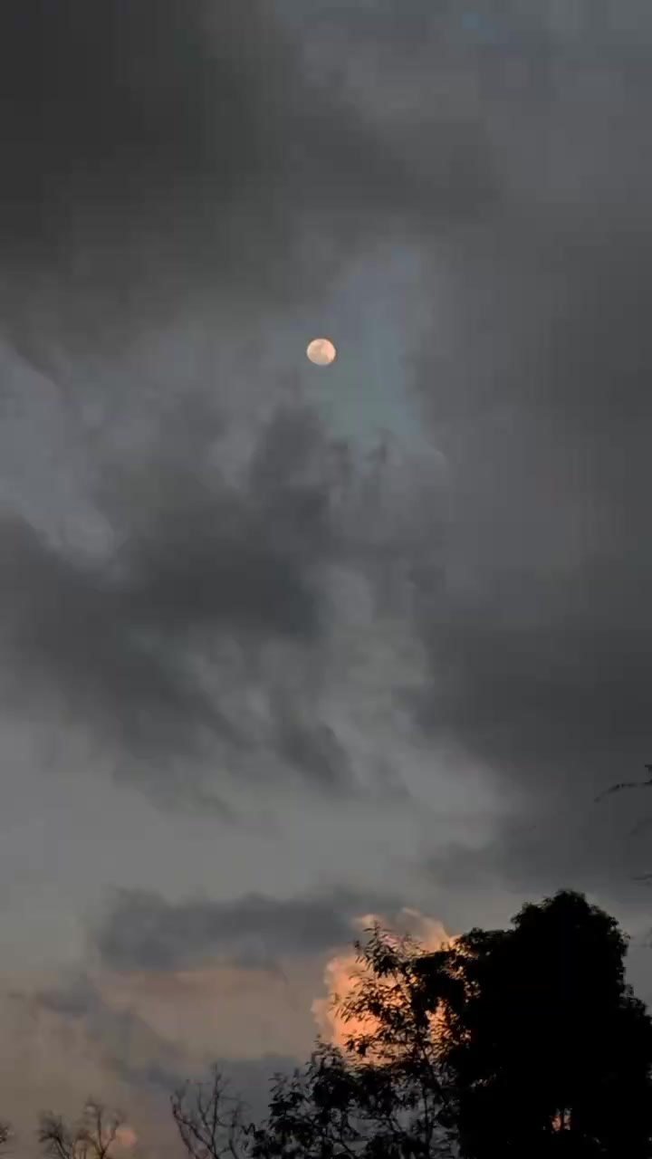 @𝐒ᡣ𐭩࣪⋆