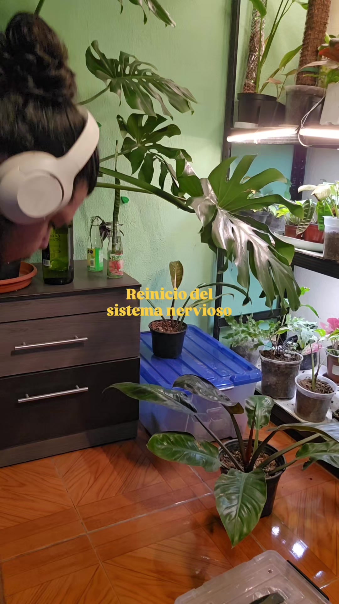@🌱Plantonio🌱