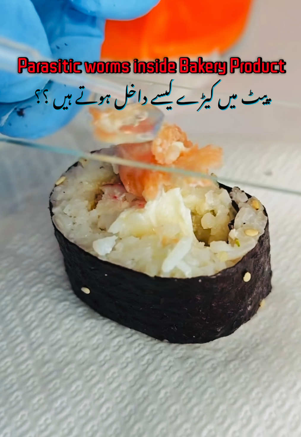 @Pest Mysteries
