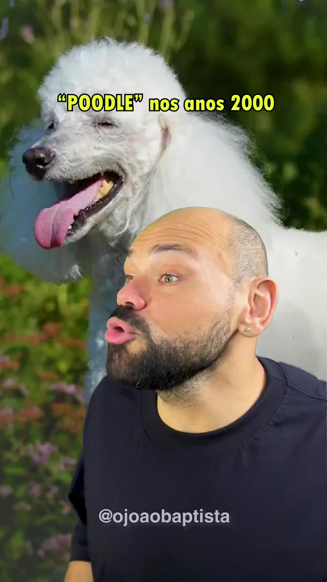 @Jo&atilde;o Baptista