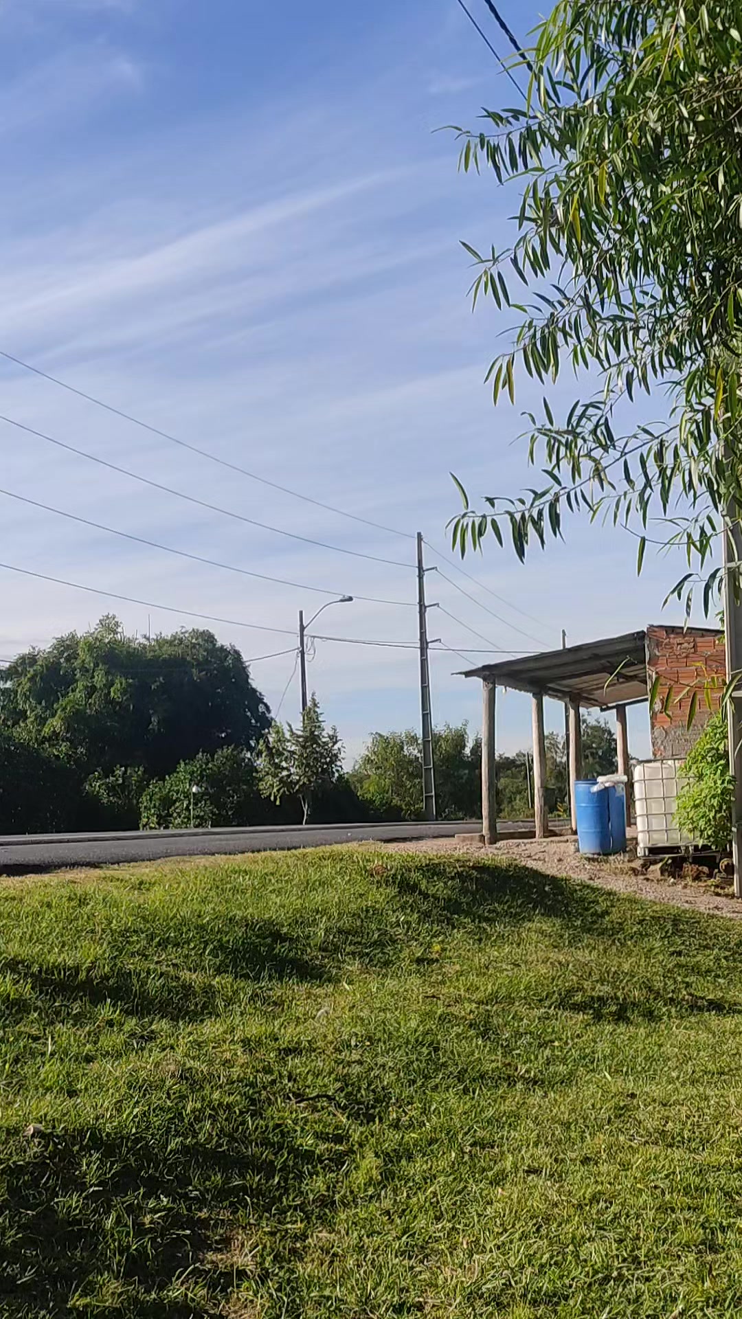 @conexão surubi'y🚨