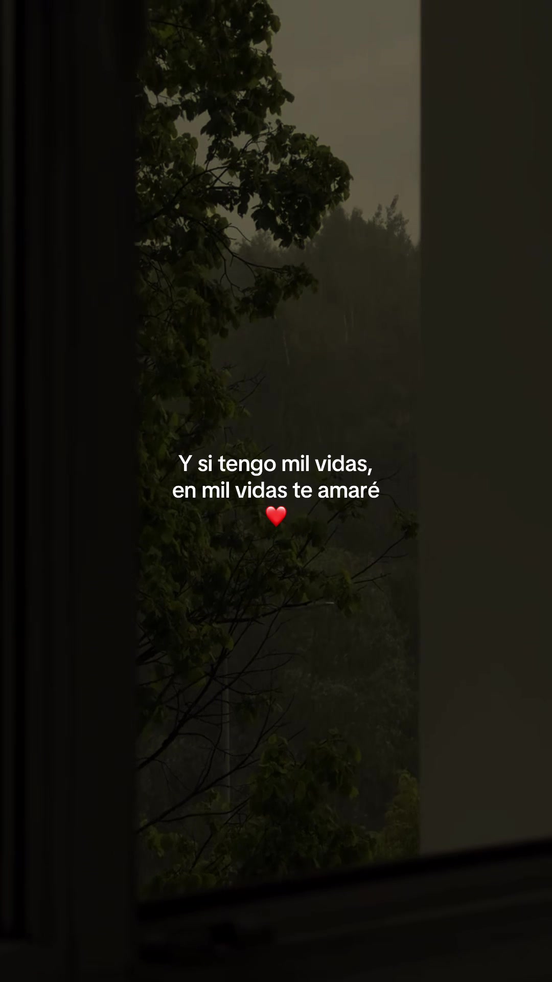 @𝙁𝙍𝘼𝙎𝙀𝙎🧃