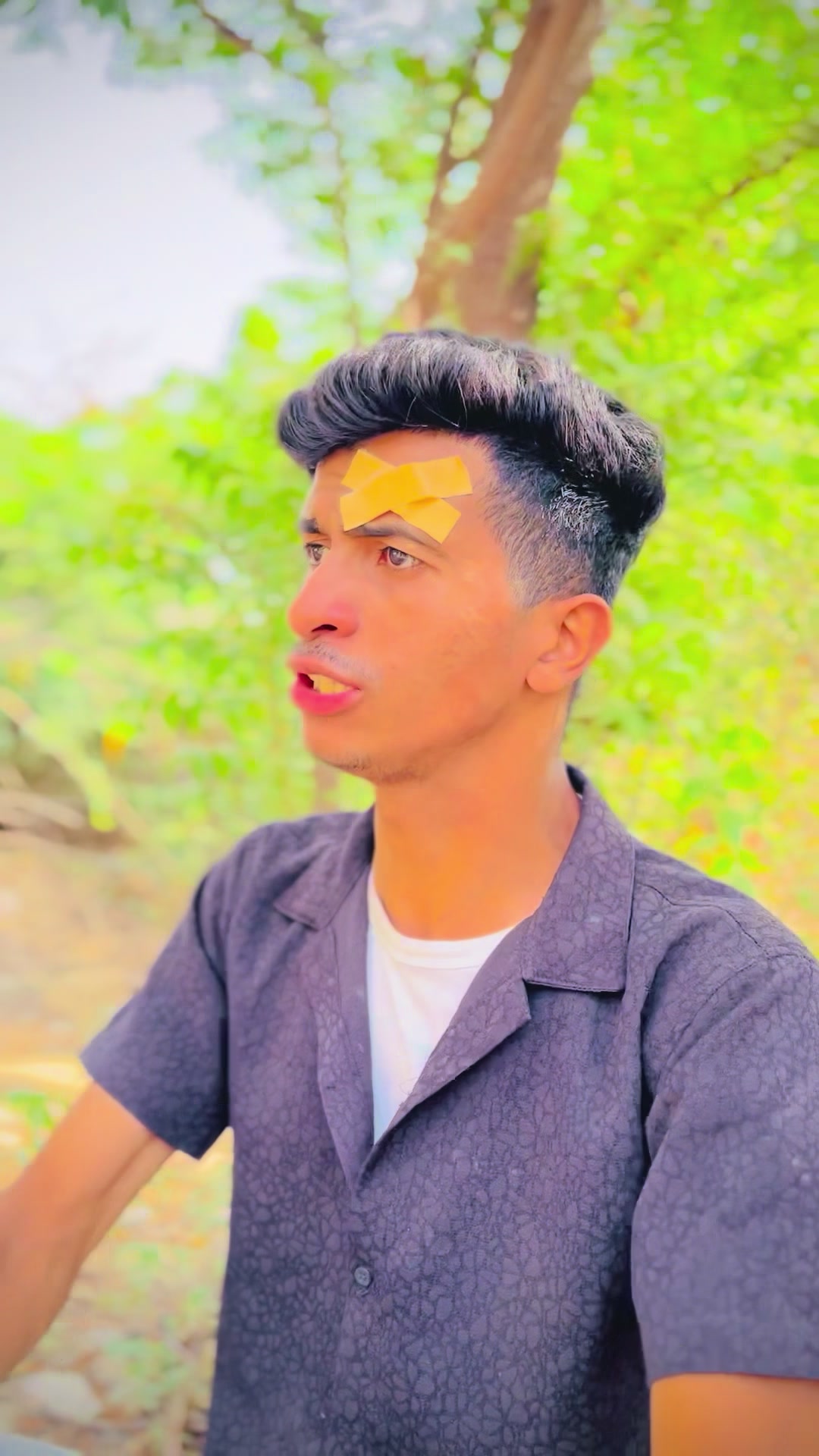 @amir