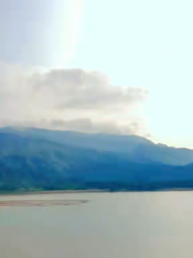 @đ¸đĻâī¸shimulbagan_1âī¸đ¸đĻ
