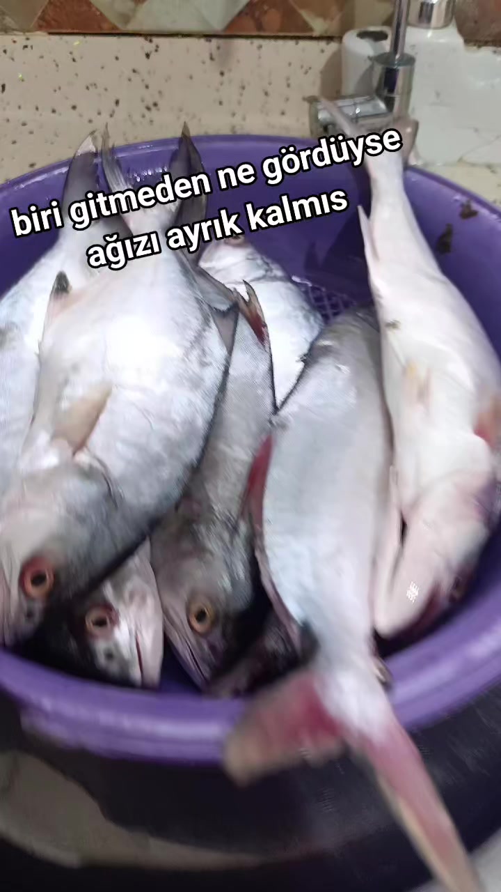@asabi hatun 👍👍👍