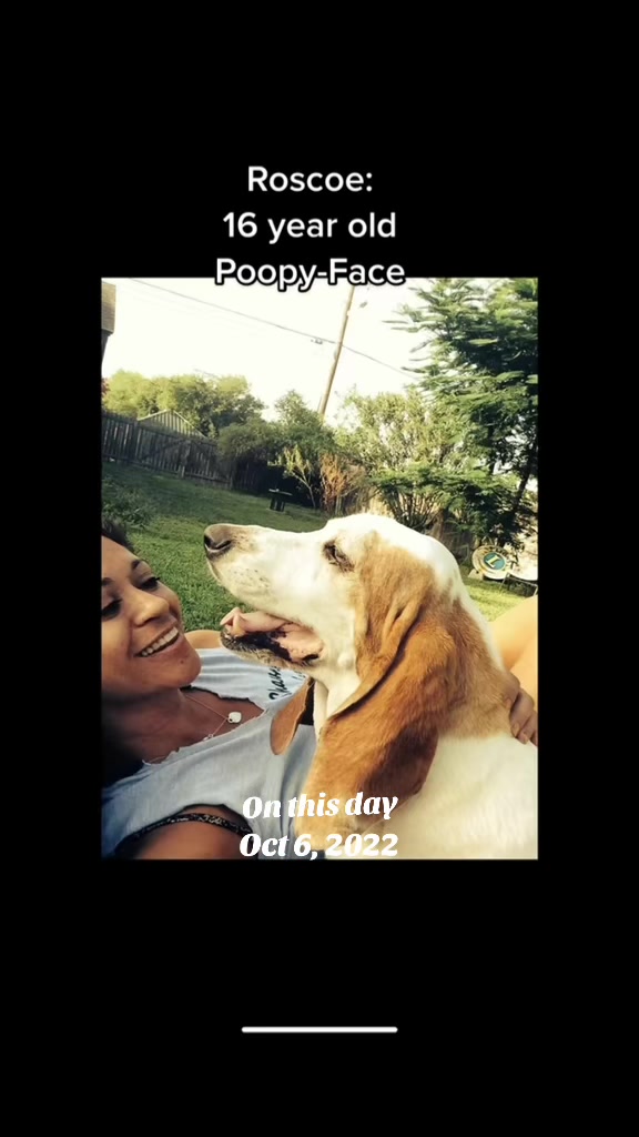 @Just A Girl Saving Dogs