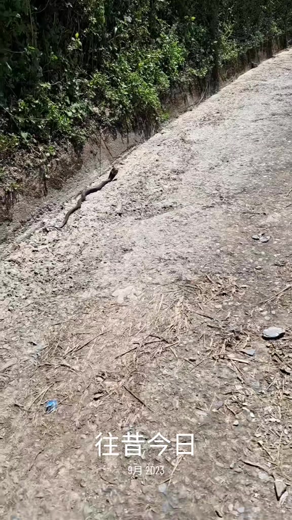 @銘記在心ARP(59-2期)