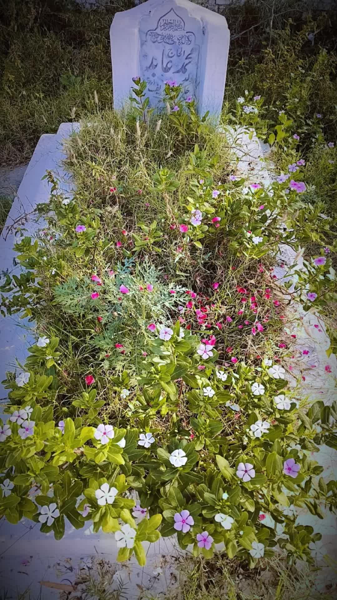 @Adi Raj