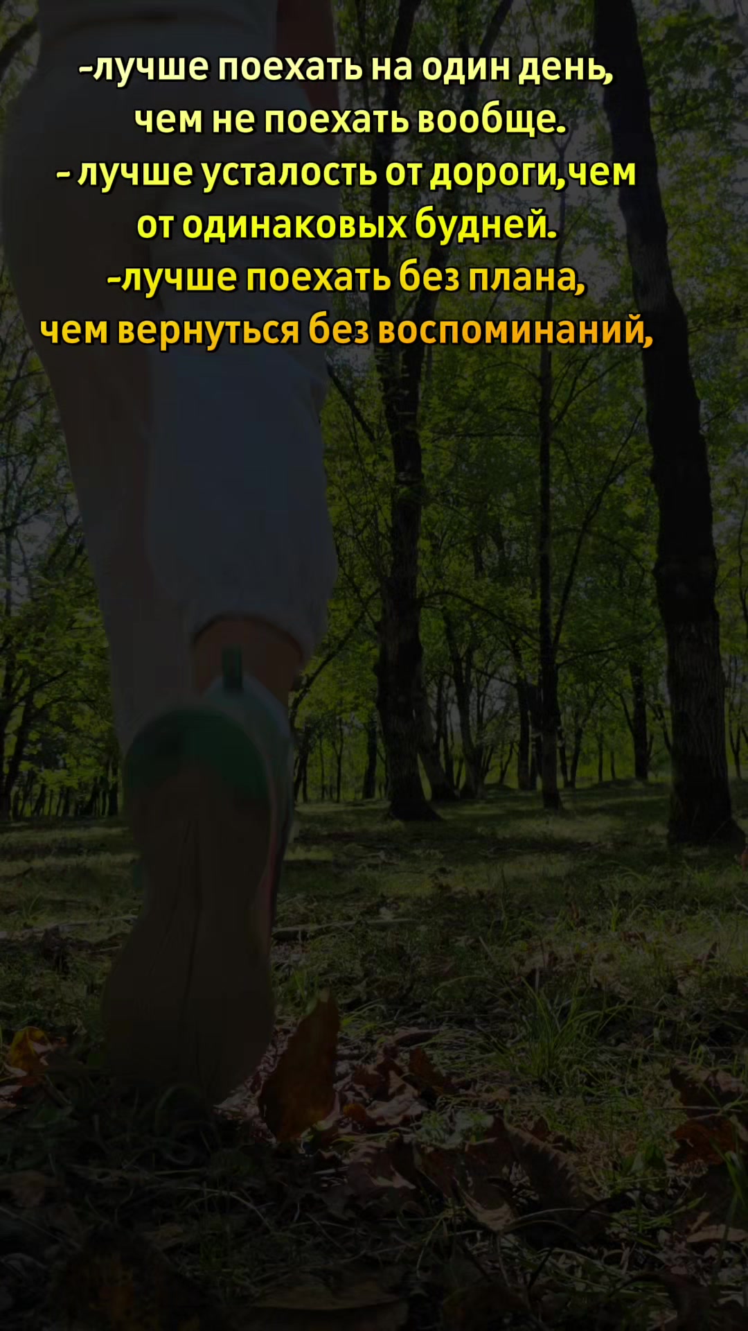 @🐾 Дикая Амазонка👣