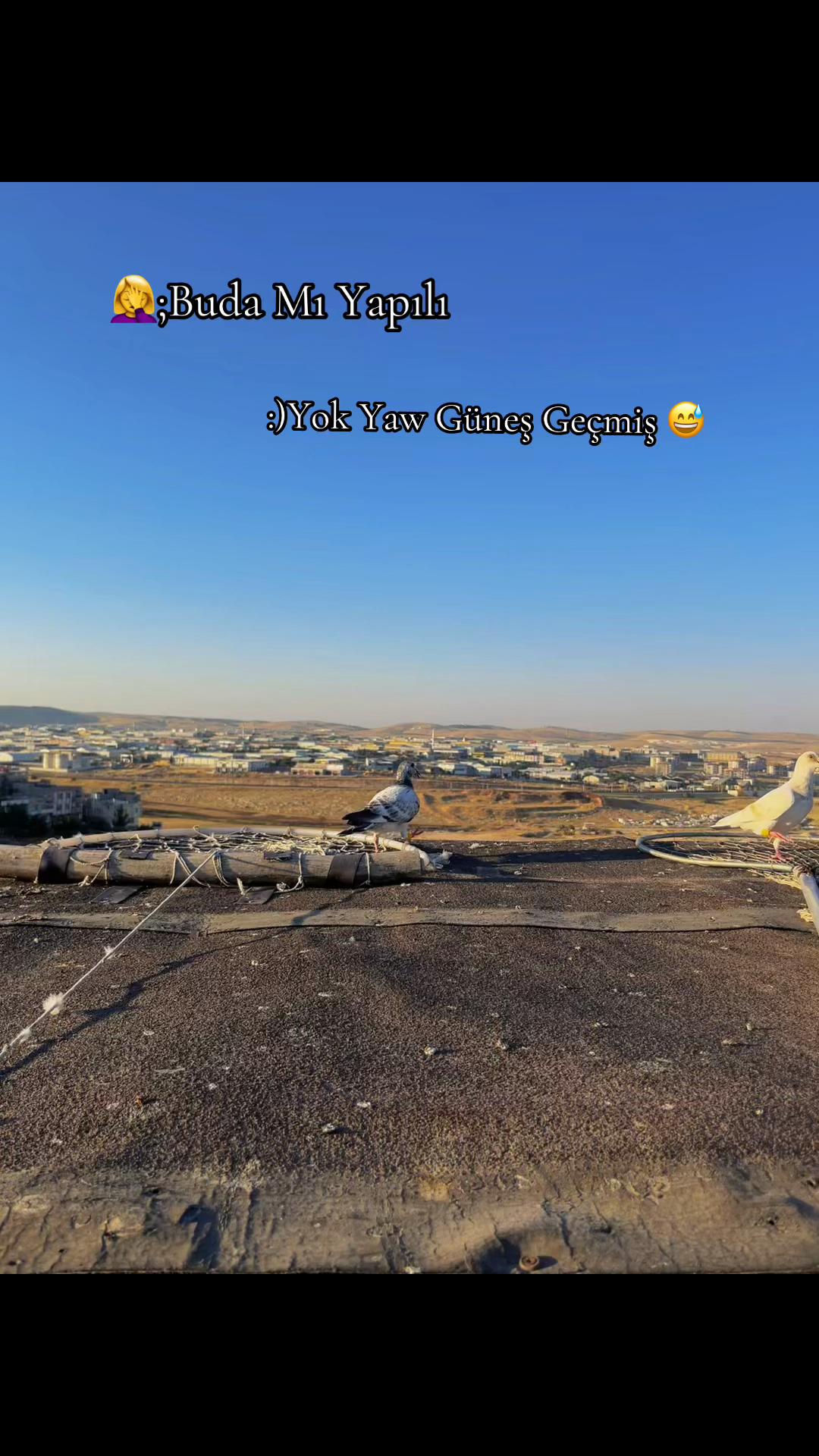 @Abdul Reşit Arıcak