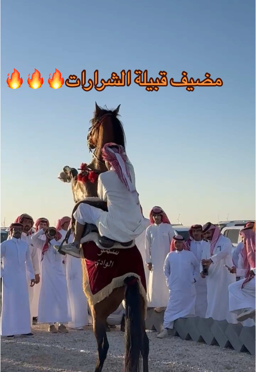 @هاني الدابس الشراري🐎