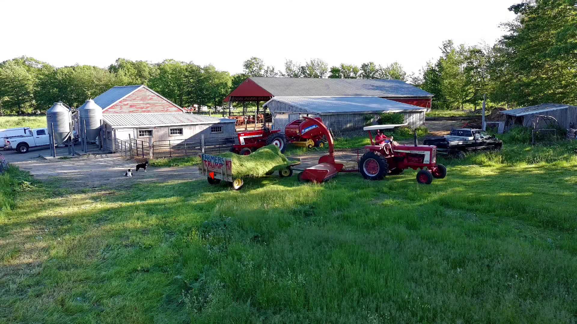 @jerseyfarmer1987