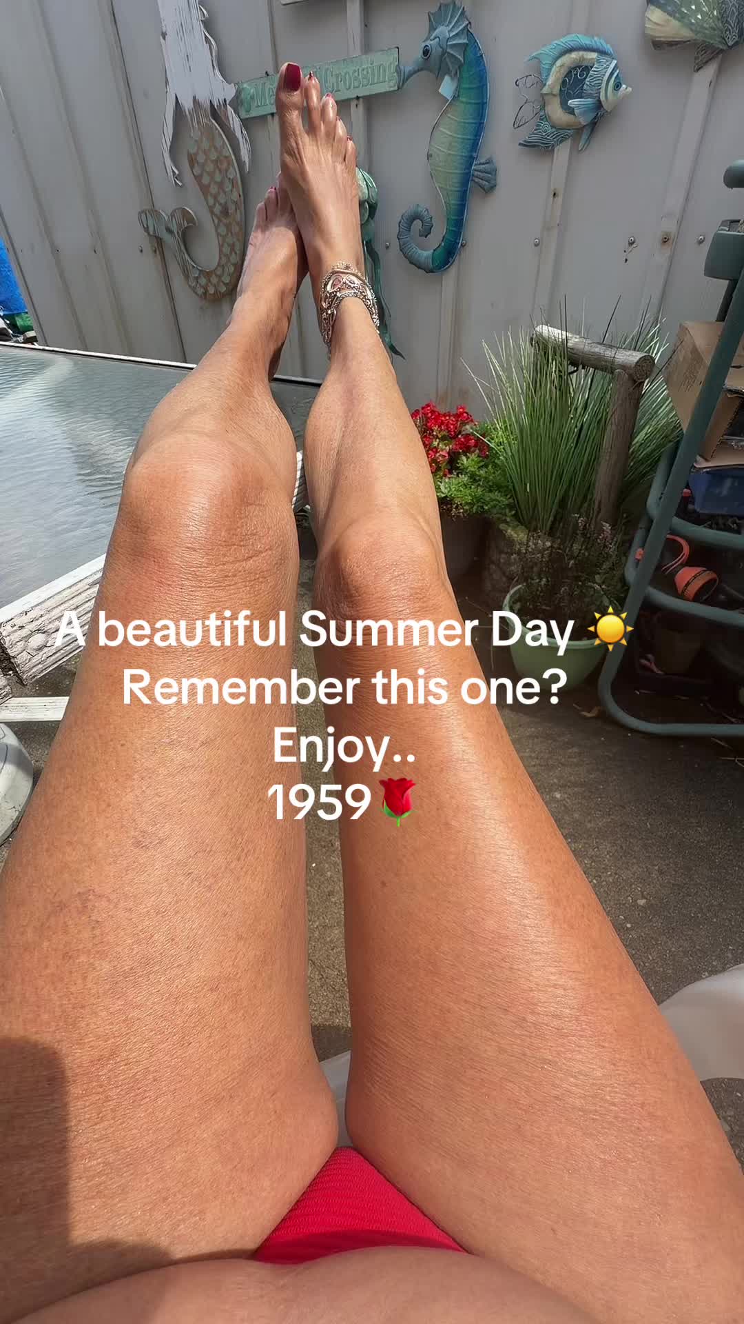 @CindyRoselli🅱️