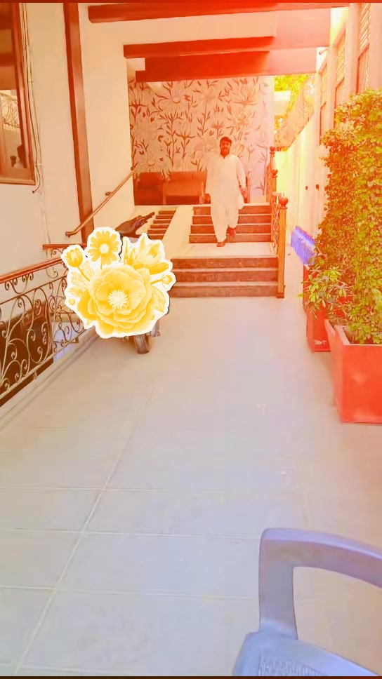 @M hassan 786