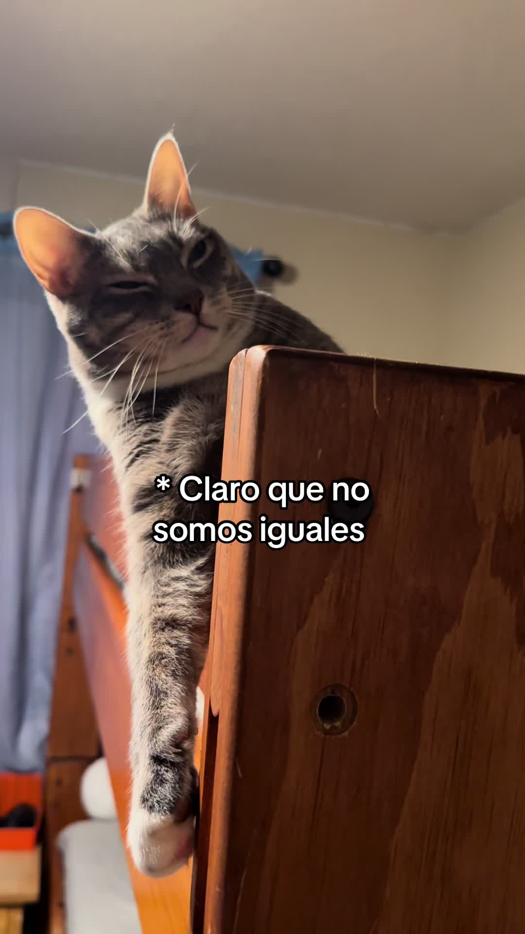 @Liz Vall.