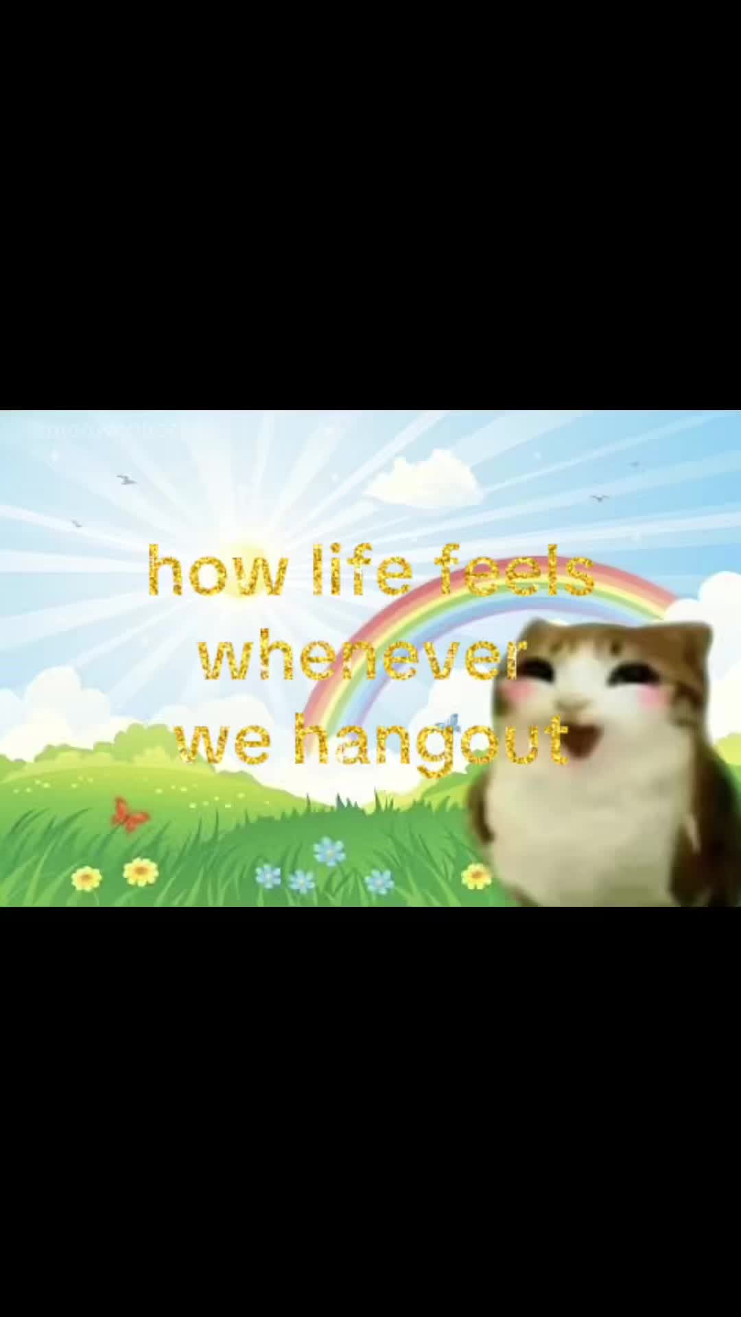 @meowconcept