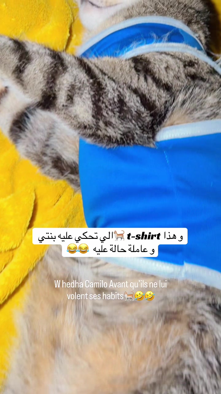 @Hela๐ถ๐น๐ณ๐ซ๐ท