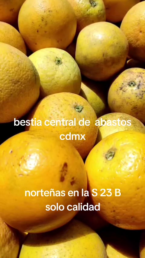 @Bestia central CDMX