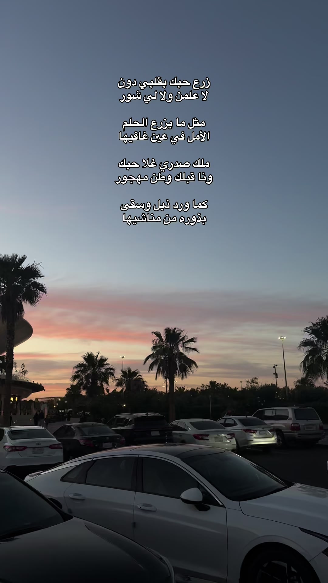 @ورد تبوك🌺✨