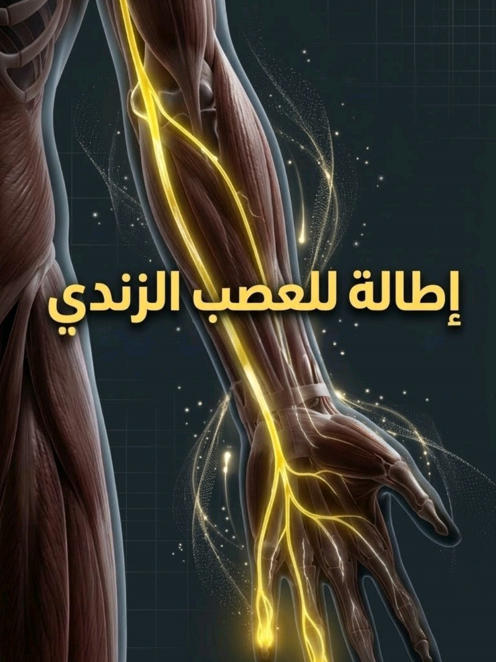 @BasharFlex