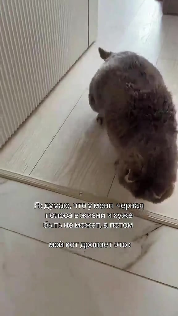 @TOTIX🪖