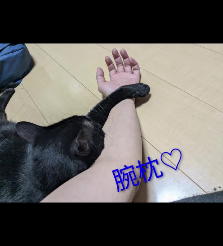 @キュキュ