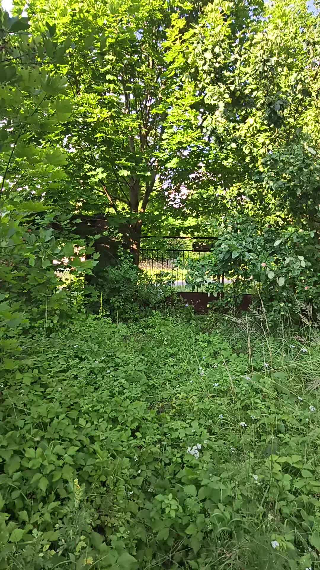 @Darek Włoch