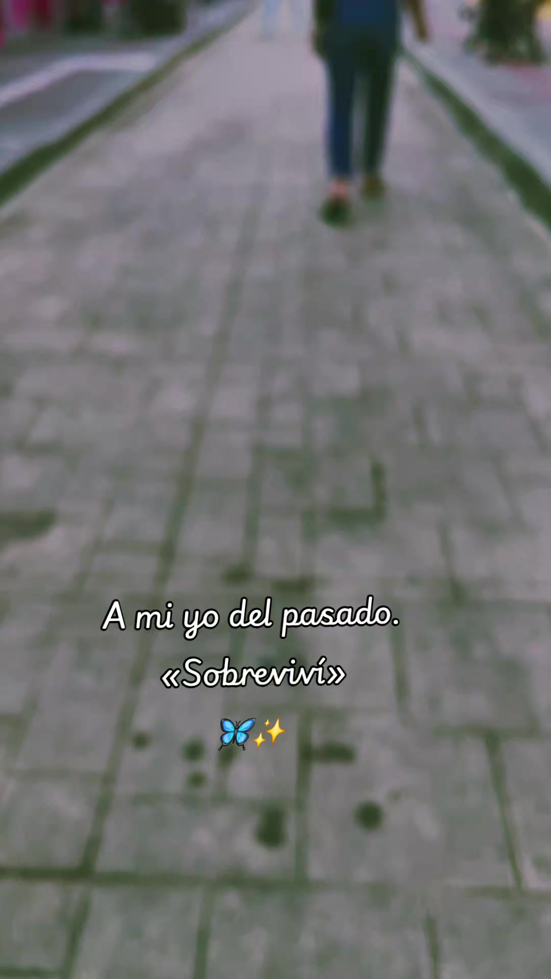 @LUISA TORRES🦋🤌✨