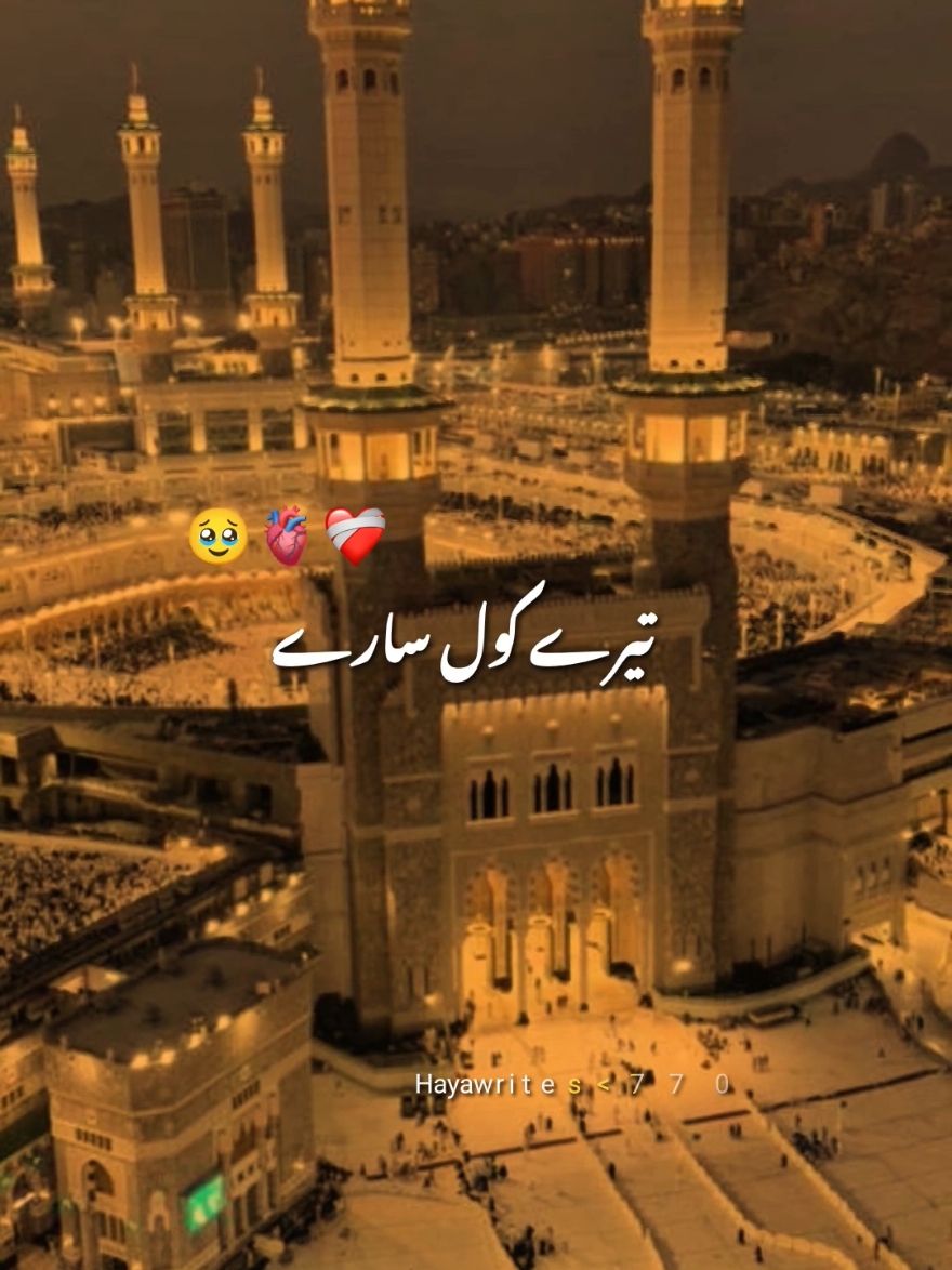 @Haya
